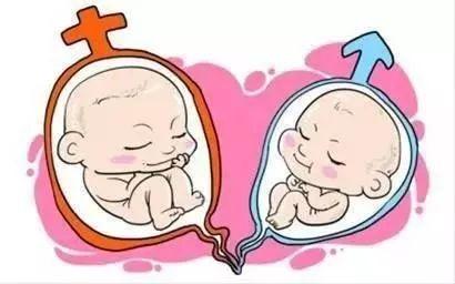 供卵代孕要多少费用